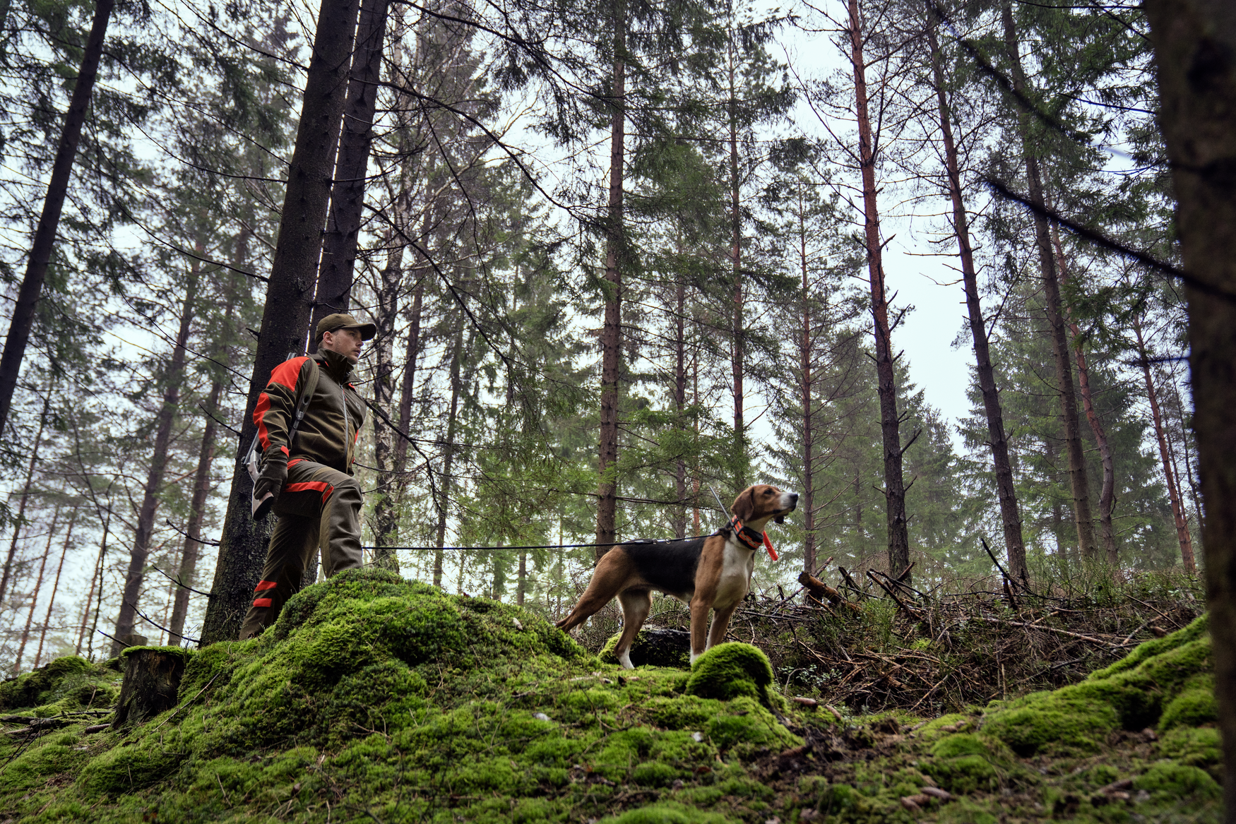 Куртка Härkila Pro Hunter Dog Keeper GTX jacket Willow green/Orange — изображение 11